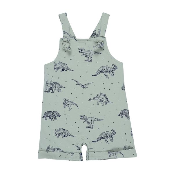 Byron Bay Dinosour Overal Onesie